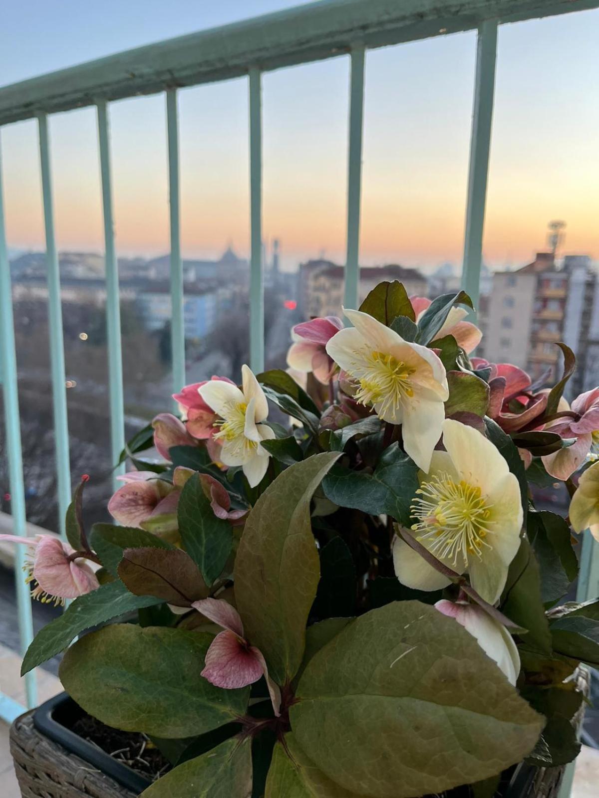 Attico Ellen Terrazza Con Vista Leilighet Torino Eksteriør bilde