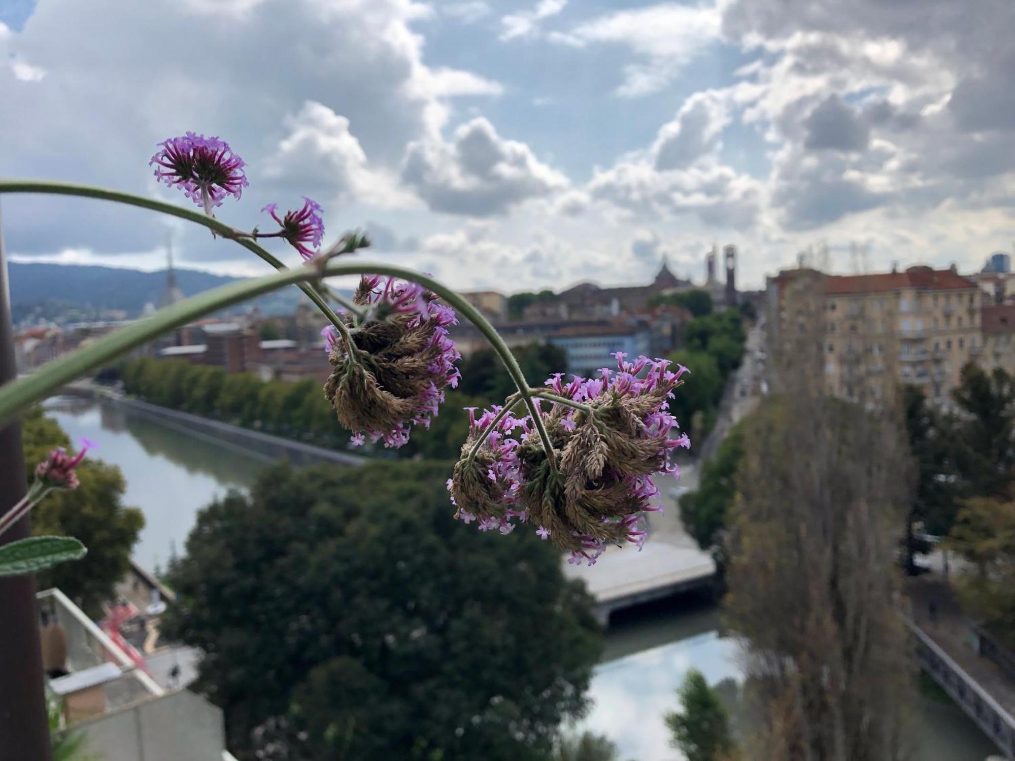 Attico Ellen Terrazza Con Vista Leilighet Torino Eksteriør bilde