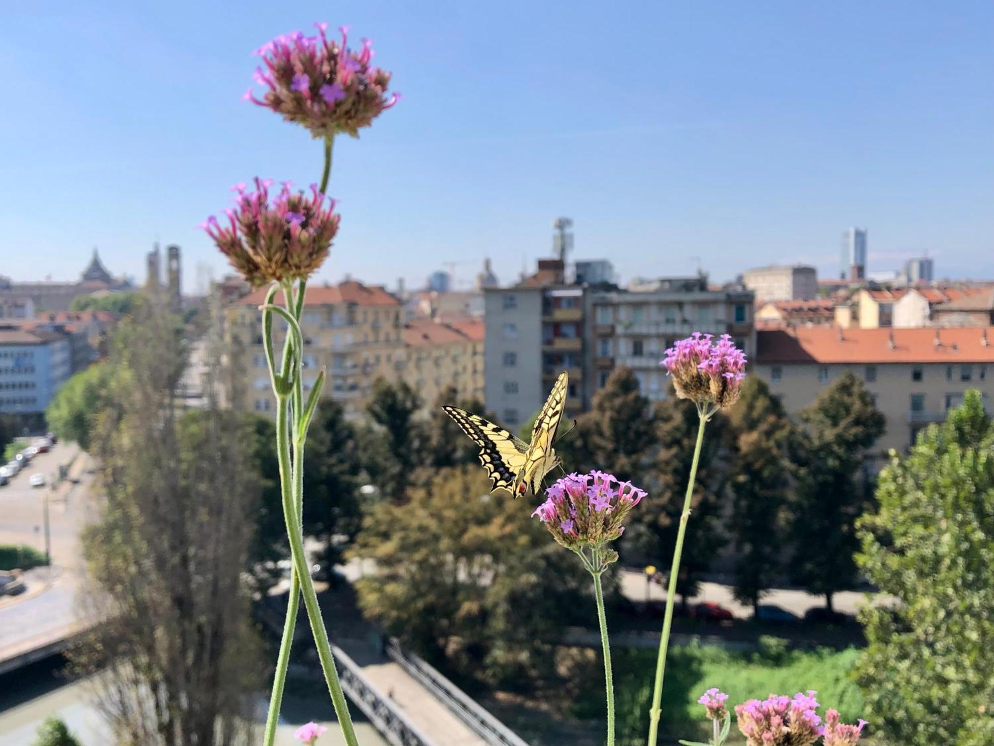 Attico Ellen Terrazza Con Vista Leilighet Torino Eksteriør bilde